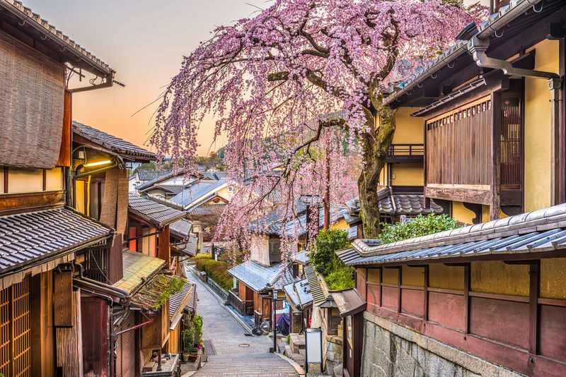Best of Kyoto & Nara: Kiyomizudera, Nara Park, Todaiji & Much More - Course B: Arashiyama, Nishiki or a seasonal change