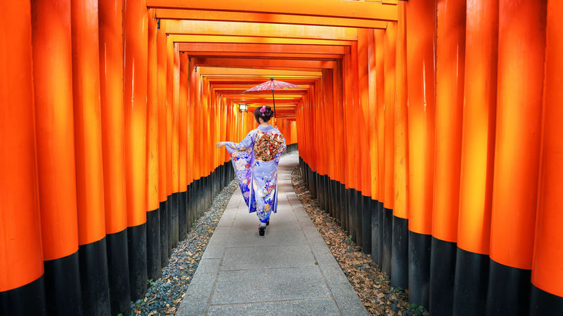 Best of Kyoto & Nara: Kiyomizudera, Nara Park, Todaiji & Much More - Should you book this Kyoto and Nara tour?