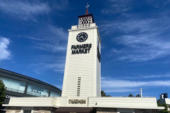 Best of LA, Hollywood, Beverly Hills Tour with Beaches plus more - Who Should Consider This Tour?