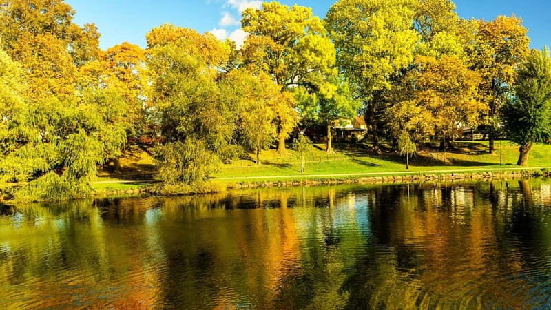 Best of Linköping: Private Walking Tour with a Local - Final Thoughts: Why Choose This Tour?
