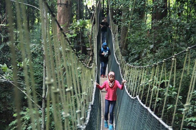 Best of Malaysia 10 Days - Detailed Breakdown of the Itinerary