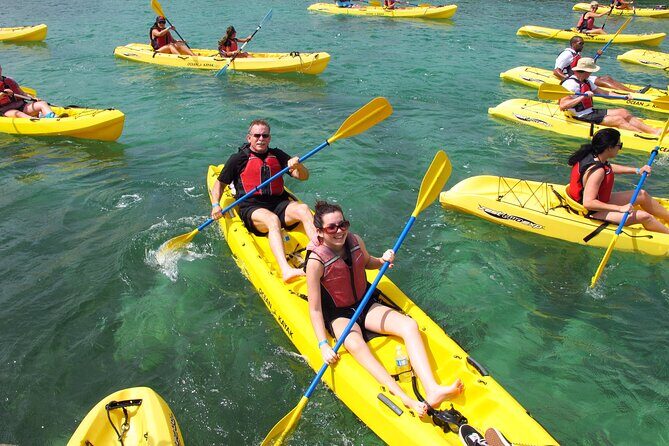 Best of Mangrove Lagoon Kayak, Hike and Snorkel Adventure with Picnic Lunch - The Authentic Experience: Wildlife Encounters and Education