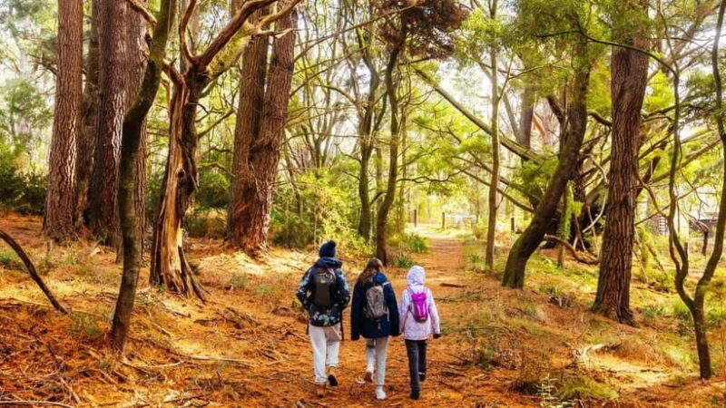 Best of Melbourne: Private Walking Tour with a Local - Who Will Love This Tour