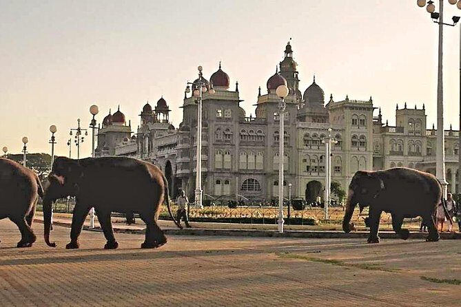 Best of Mysore/Mysuru, Somnathpur & Srirangapatna in a Day - What Makes This Tour Stand Out