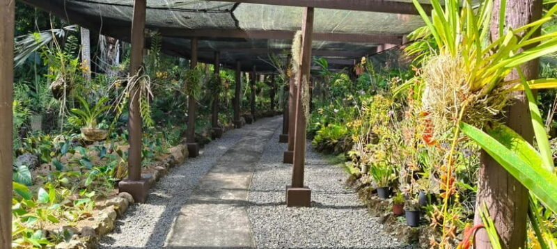 Best of Nadi Highlights - Exploring Nadi in Depth: A Complete Look at the Tour