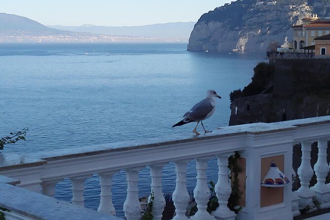 Best Of Naples Shore Tour In 1 Day: Pompei & Amalfi Coast & Limoncello Tasting - Transportation and Logistics: Why They Matter