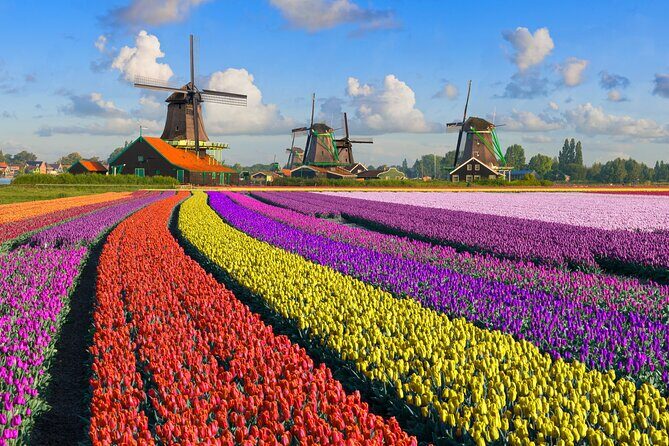 Best of Netherlands: Zaanse Schans Mills, The Hague & Rotterdam - FAQs