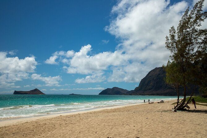 Best Of Oahu: Grand Circle Island Small Group Tour From Waikiki - Final Thoughts