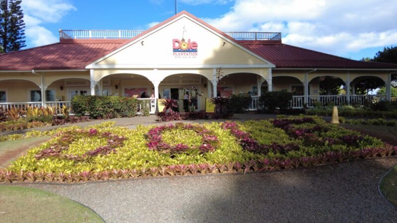 Best of Oahu in One Day - An Overview of What to Expect