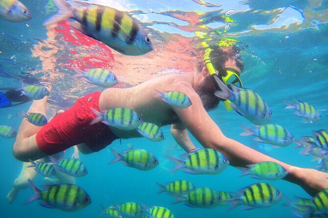 Best of Phi Phi Islands Snorkeling Tour from Phuket - Final Thoughts