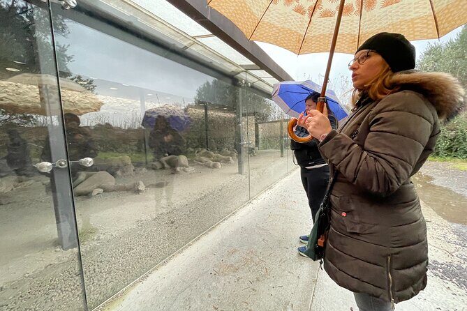 Best of Pompeii Small Group Guided Tour with Tickets - The Sum Up