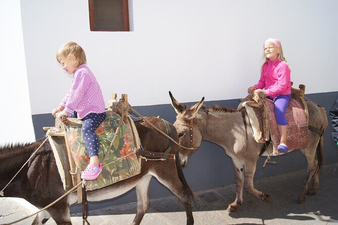 Best of Rhodes Tour including Lindos and Medieval City - Who Is This Tour Best For?