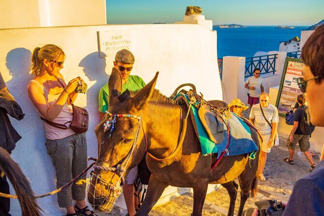 Best of Santorini Full Day Private Trip From Mykonos - Key Points