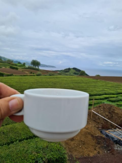 Best of São Miguel 2 Days Private Tour - Who Will Love This Tour?