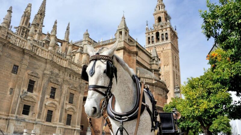 Best of Seville: Private Walking Tour with Local - Final Thoughts