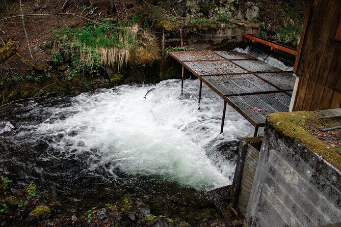 Best of Seward Alaska Full Day Tour - Explore Seward with Confidence: The Best of Seward Alaska Full Day Tour