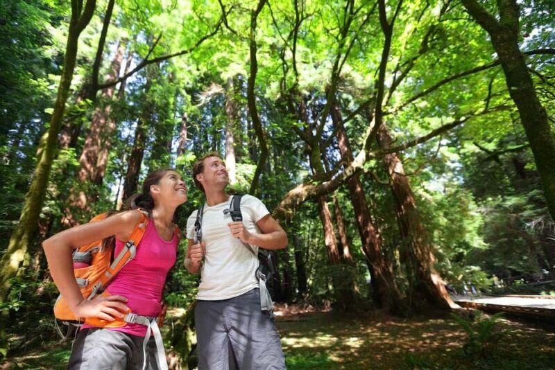 Best of SF: Wine Country, Redwoods, and Hop-on Hop-off Tour - FAQ