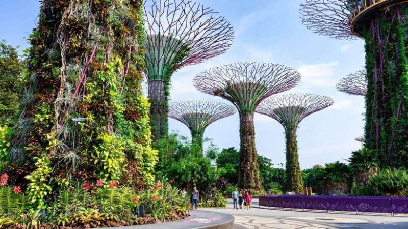 Best of Singapore: Private Walking Tour with a Local - Key Points