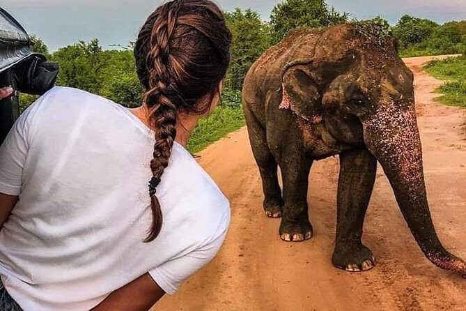 Best Of Sri lanka Tour (06 Days 05 Nights) - Kandy- N.Eliya -Bentota-Colombo - Discover the Best of Sri Lanka in Six Days