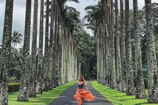 Best Of Sri lanka Tour (06 Days 05 Nights) - Kandy- N.Eliya -Bentota-Colombo - Who Will Love This Tour?