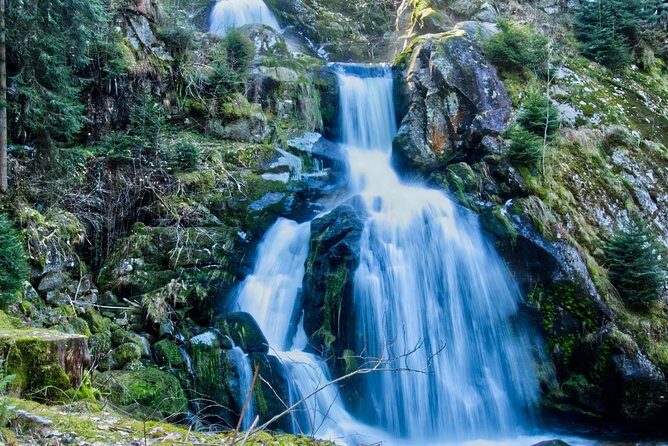 Best of the Black Forest and Rhinefalls from Zurich - An In-Depth Look at This Black Forest and Rhinefalls Tour