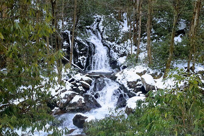 Best of the Smokies Custom Private Tour - FAQs