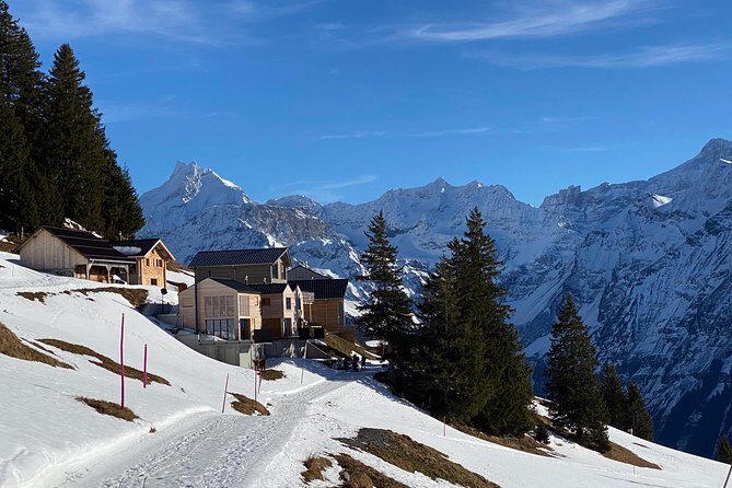 Best of the Uri Alps: A fjord-like lake, glorious peaks and sustainable tourism - Who Will Love This Tour?