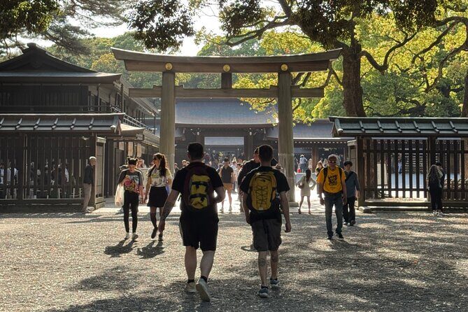 Best of Tokyo in a Day Private Tour with Custom Options - A Deep Dive into the Tour Experience