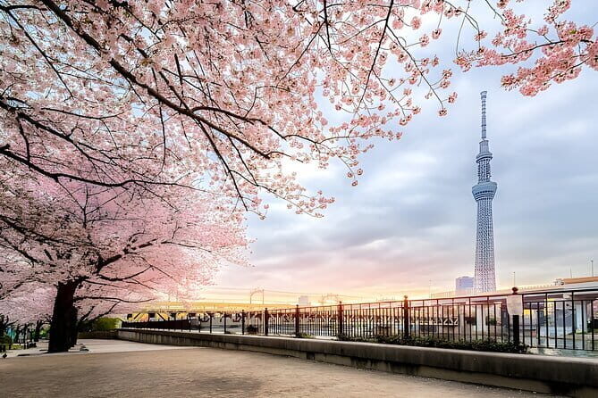 Best of Tokyo Private Tour English Driver &Customizable Itinerary - Exploring Tokyo with Your Personal Driver