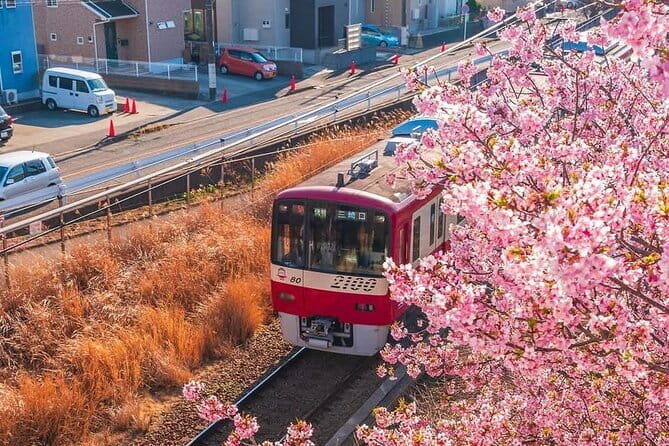 Best of Tokyo Private Tour English Driver &Customizable Itinerary - What Could Be Better?