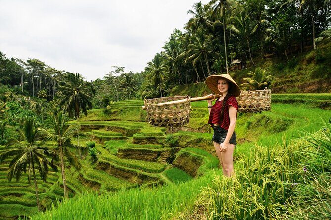 Best of Ubud 1-Day Private Tour - Convenient Pickup and Transportation