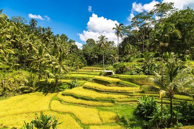 Best of Ubud 1-Day Private Tour - Second Stop: Puseh Batuan Temple