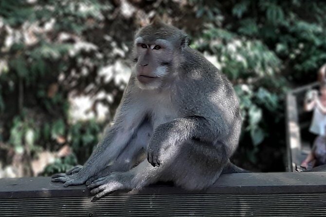 Best of Ubud - All Inclusive - Detailed Review of the Ubud Tour Experience