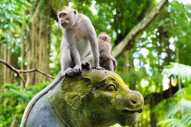 Best of Ubud Attractions: Private All-Inclusive Tour - Balancing the Day