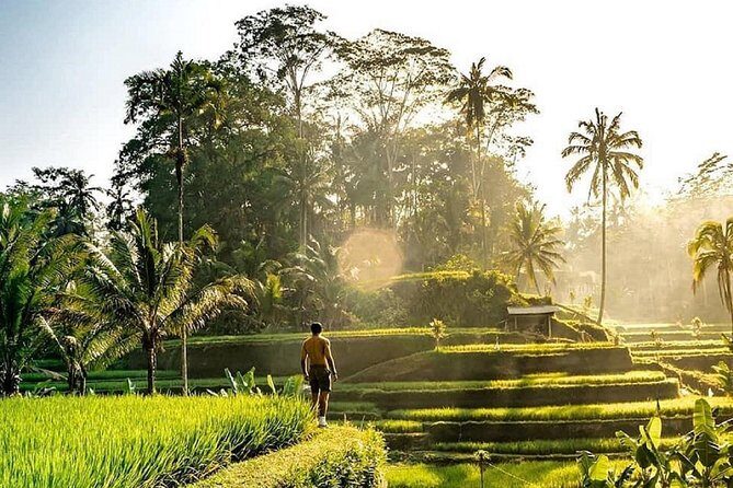 Best of Ubud - Full day Tour + FREE WI-FI - Discover the Authentic Charm of Ubud with the Best of Ubud Full-Day Tour