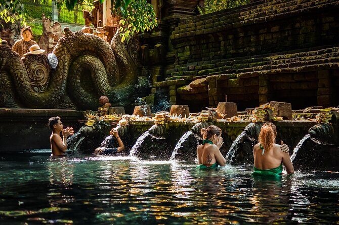 Best of Ubud Private Day Tour - Detailed Guide to the Ubud Private Day Tour