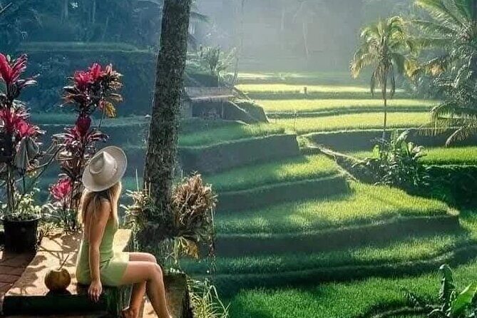 Best of Ubud Sightseeing Private All Inclusive Tour - Key Points