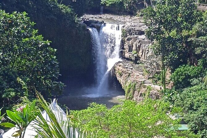 Best of Ubud - Ubud Tour Popular - All Inclusive - FAQ