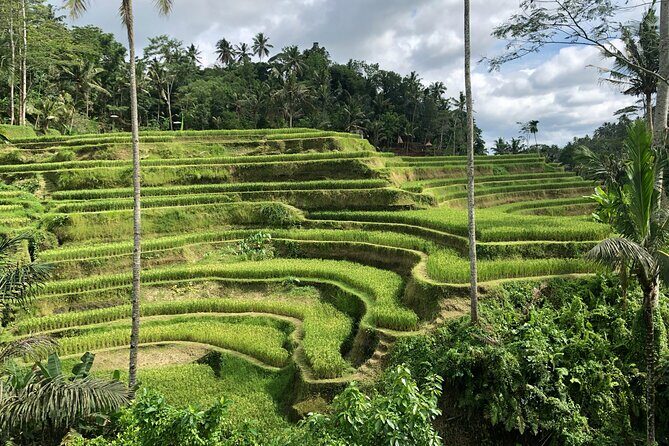 Best of Ubud Village Private Tour with Jungle Swing All Inclusive - Practical Details and What to Expect