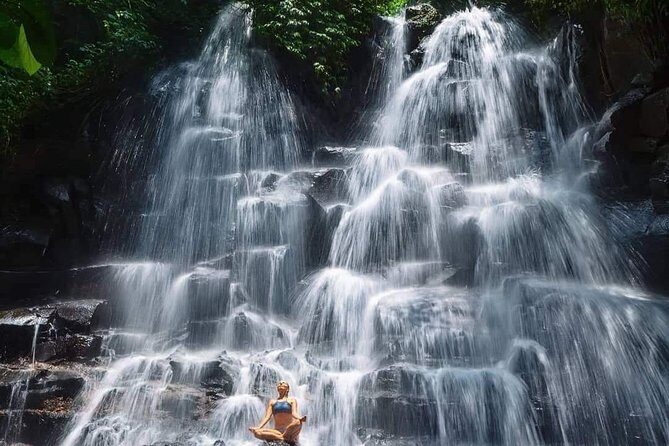 Best of Ubud Waterfalls, Tegalalang Rice Terrace and Swing Tour - What Travelers Are Saying