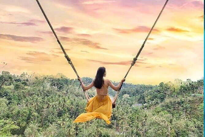 Best of Ubud Waterfalls, Tegalalang Rice Terrace and Swing Tour - Who Is This Tour Best For?