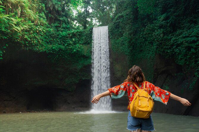 Best of Ubud: Waterfalls, Temple & Rice Terraces Private Day Tour - Key Points