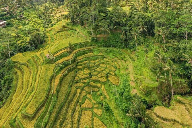 Best of Ubud: Waterfalls, Temple & Rice Terraces Private Day Tour - Final Thoughts