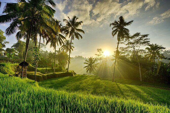 Best of Ubud with Tanah Lot Temple Private Tour - A Close Look at the Itinerary