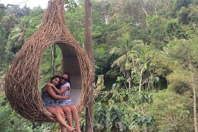 Best of Ubud With Ulu Petanu Waterfall Private Guided Tour - The Sum Up: Who Should Consider This Tour?