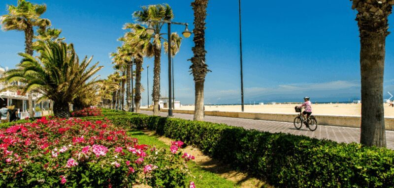 Best of Valencia: Highlights with Private Transport - The Itinerary Breakdown