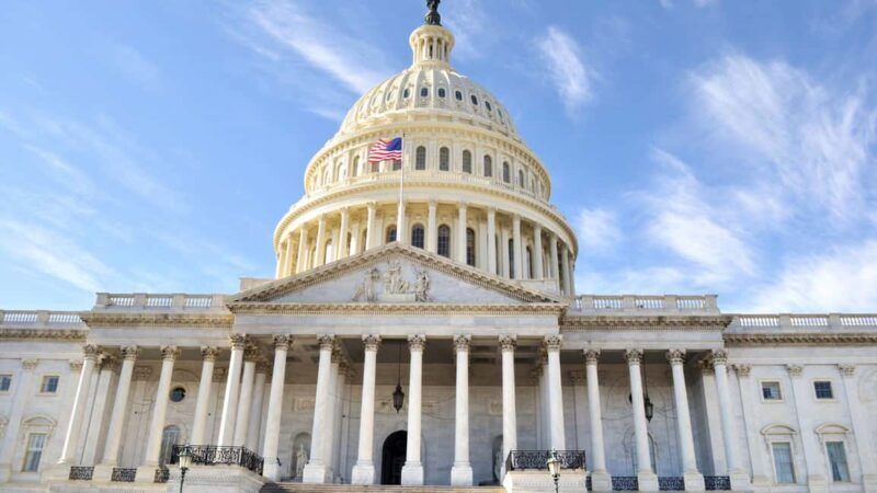 Best of Washington: Private Walking Tour with a Local - Key Points