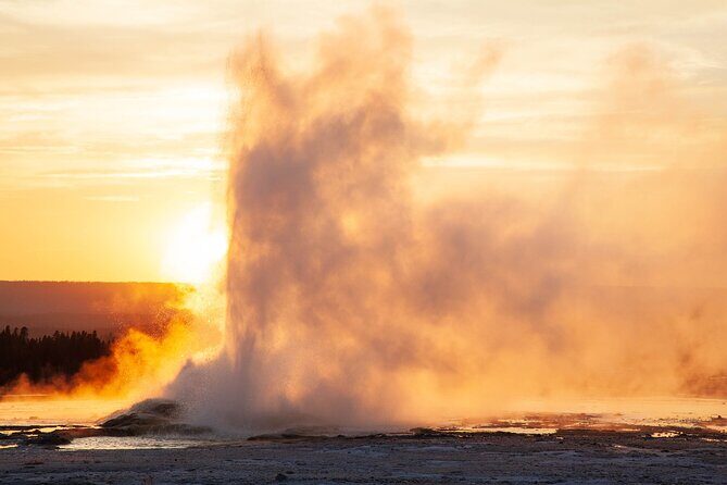 Best of Yellowstone Guided Tour from Bozeman - Private Tour - Why This Tour Offers Great Value