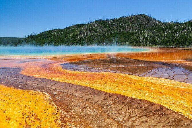 Best of Yellowstone Nat'l Park from W Yellowstone - Private Tour - Experience Yellowstone with a Private Guide