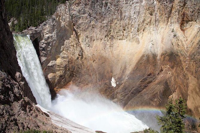 Best of Yellowstone Private National Park Safari Tour - Why the Tour Delivers Excellent Value